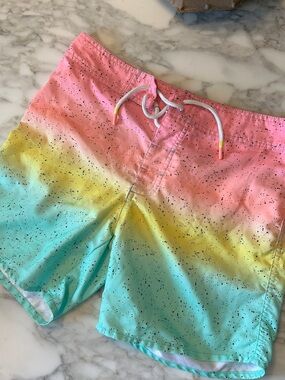 ‘Chubbies’ Ombre Swim Trunks